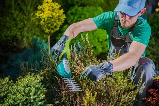 landscaping services Bentonia